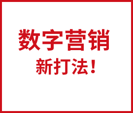 如何怎么打一场成功的数字营销战役？